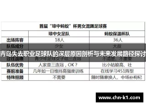 青岛失去职业足球队的深层原因剖析与未来发展路径探讨