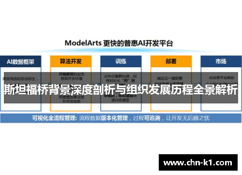 斯坦福桥背景深度剖析与组织发展历程全景解析