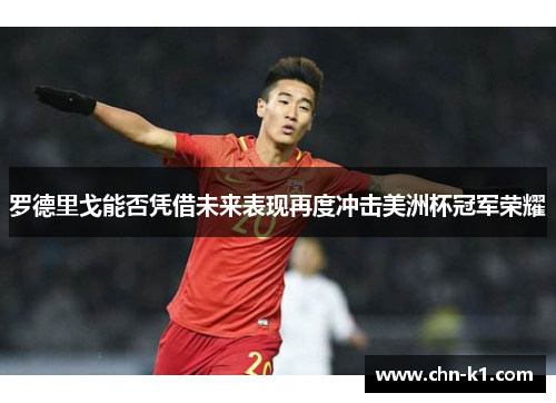 罗德里戈能否凭借未来表现再度冲击美洲杯冠军荣耀